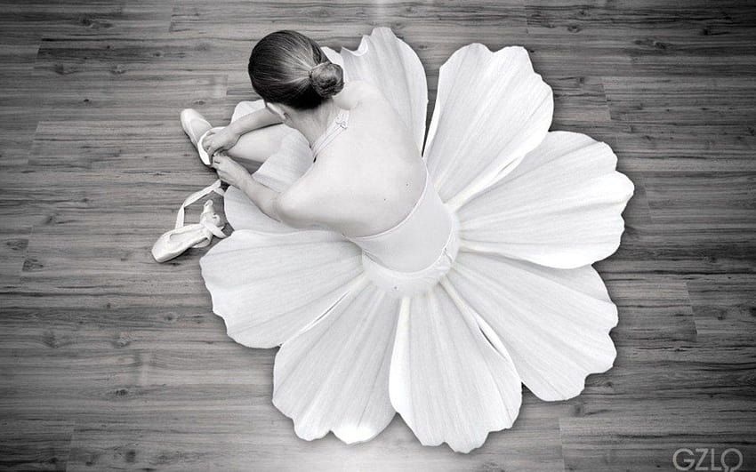 Flowers ballet monochrome dancers ballet shoes HD wallpaper | Pxfuel