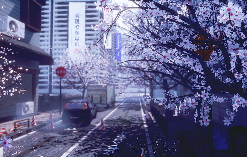 auto, la ville, printemps, Sakura , section арт, villes de printemps Fond d'écran HD