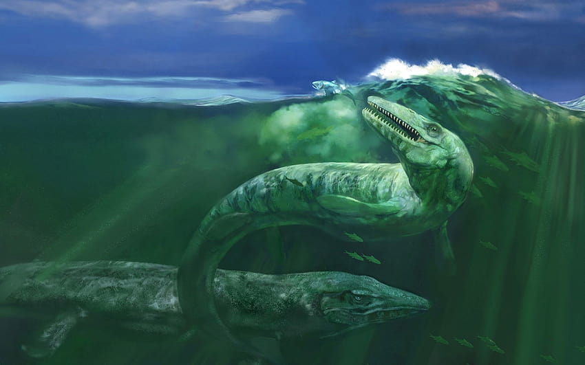 Sea Monster, monster fish HD wallpaper | Pxfuel