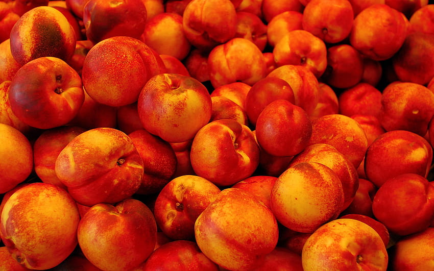 nectarines HD wallpaper