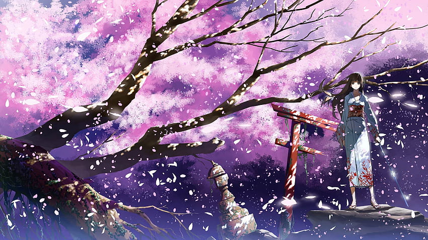 Awesome Anime Cherry Blossom Cherry Blossom Anime HD Wallpaper Pxfuel