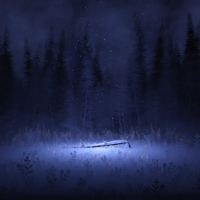 Light , Night, Forest, Winter, Foggy, Dark, Nature, ipad dark winter forest HD phone wallpaper