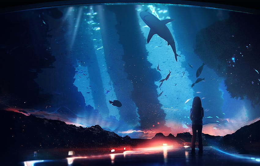 fish, fantasy, shark, girl, aquarium , section живопись HD wallpaper