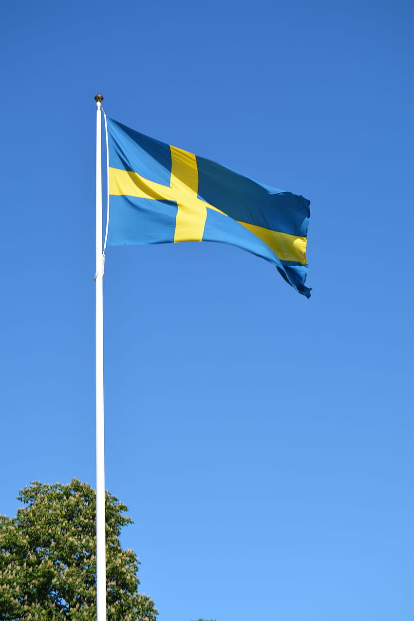파란색과 노란색 십자가 깃발, 스웨덴 국기 HD 전화 배경 화면