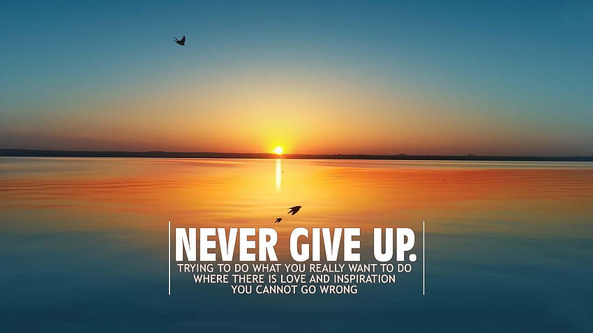 Never Give Up HD wallpaper