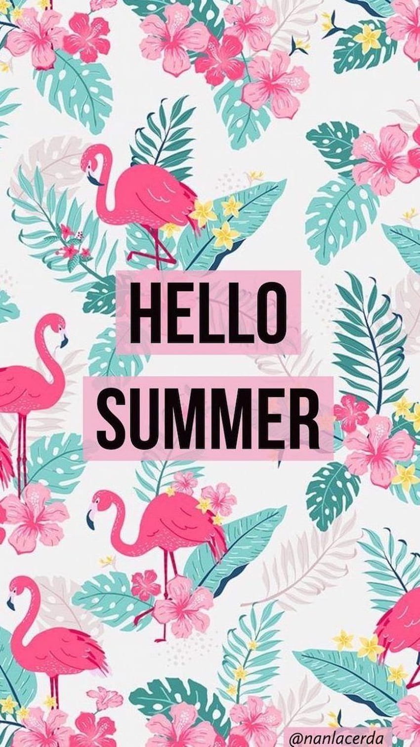 hello summer, pink flamingos, pink flowers, green palm leaves, aesthetic iphone, drawing summer HD phone wallpaper