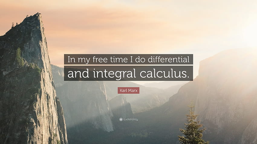 Karl Marx Quote: “In my time I do differential and integral calculus.” HD wallpaper