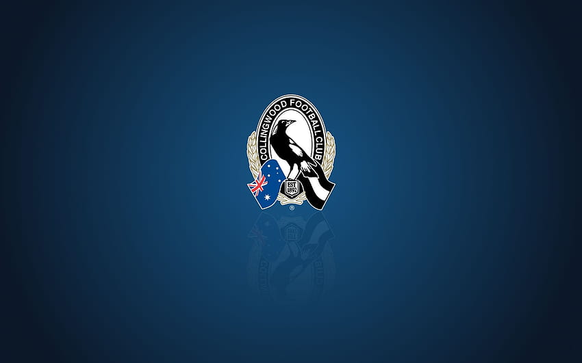 Collingwood Magpies with team logo, blue HD wallpaper