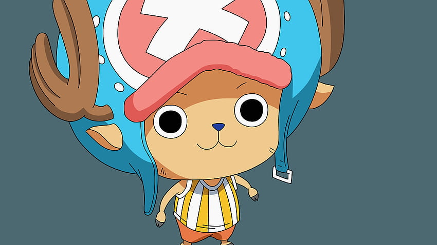 One Piece Cute Chopper » Cinema HD wallpaper | Pxfuel