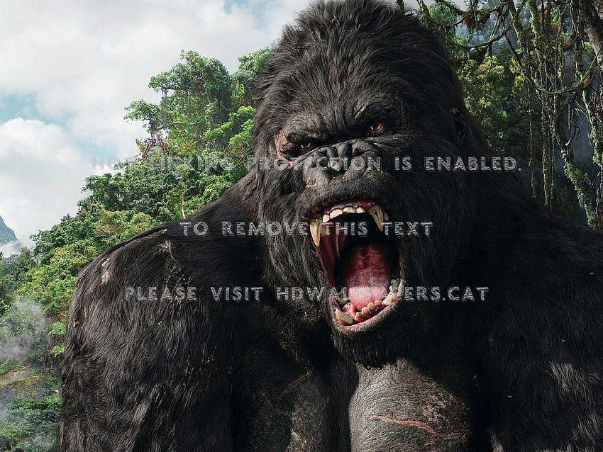 kong king filme monstro gorila fictício, filme de gorila papel de parede HD