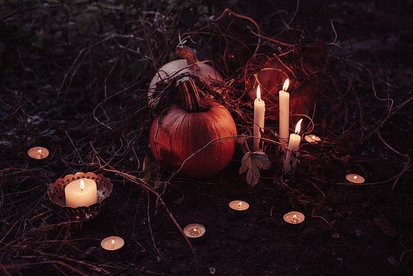 : light, night, dark, decoration, pumpkin, halloween, flame, darkness, lighting, candles, still life graphy, Candlelights 5178x3452, halloween decorations and lights HD wallpaper