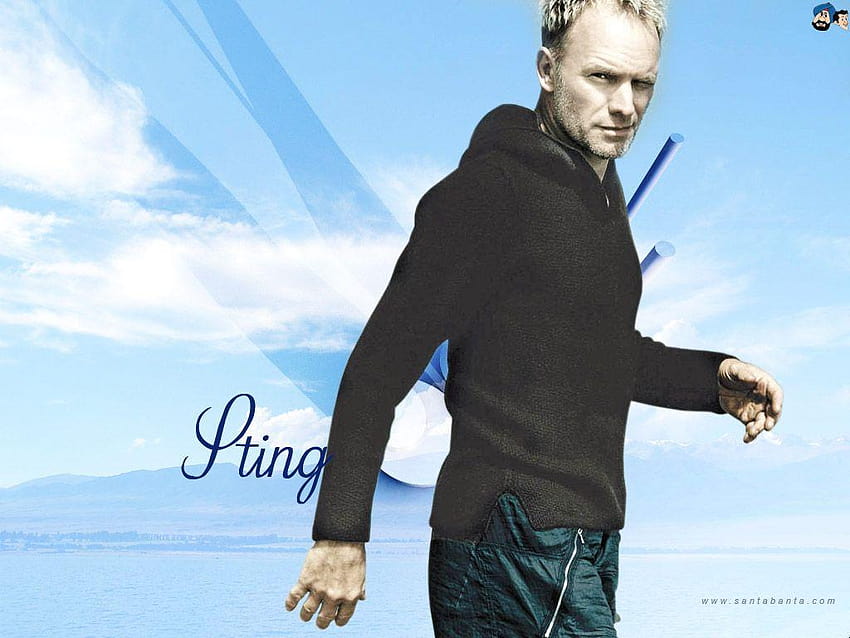 Sting musician HD wallpaper | Pxfuel