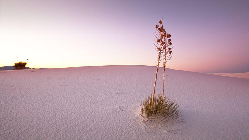 White Sands National Monument, New Mexico, USA HD wallpaper