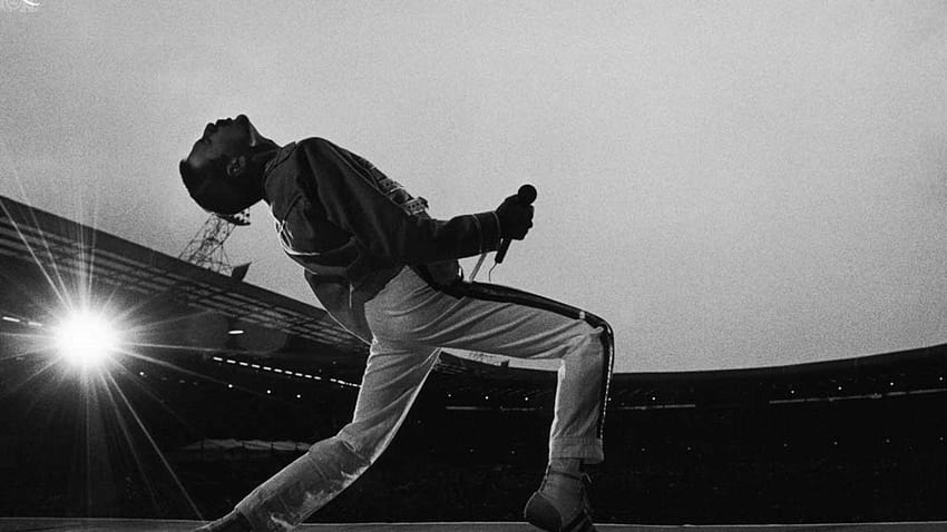 Freddie Mercury fondo de pantalla
