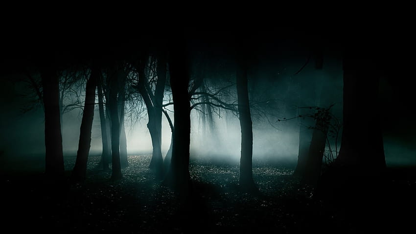 Haunted Forest 1304326 [1920x1080] for your , Mobile & Tablet HD wallpaper