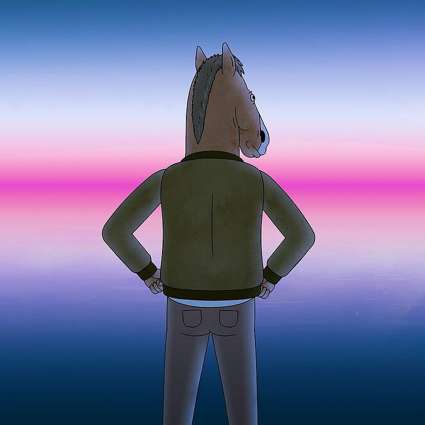 Bojack Horseman [1920x1080], bojack horseman monochrome minimalist HD  wallpaper | Pxfuel