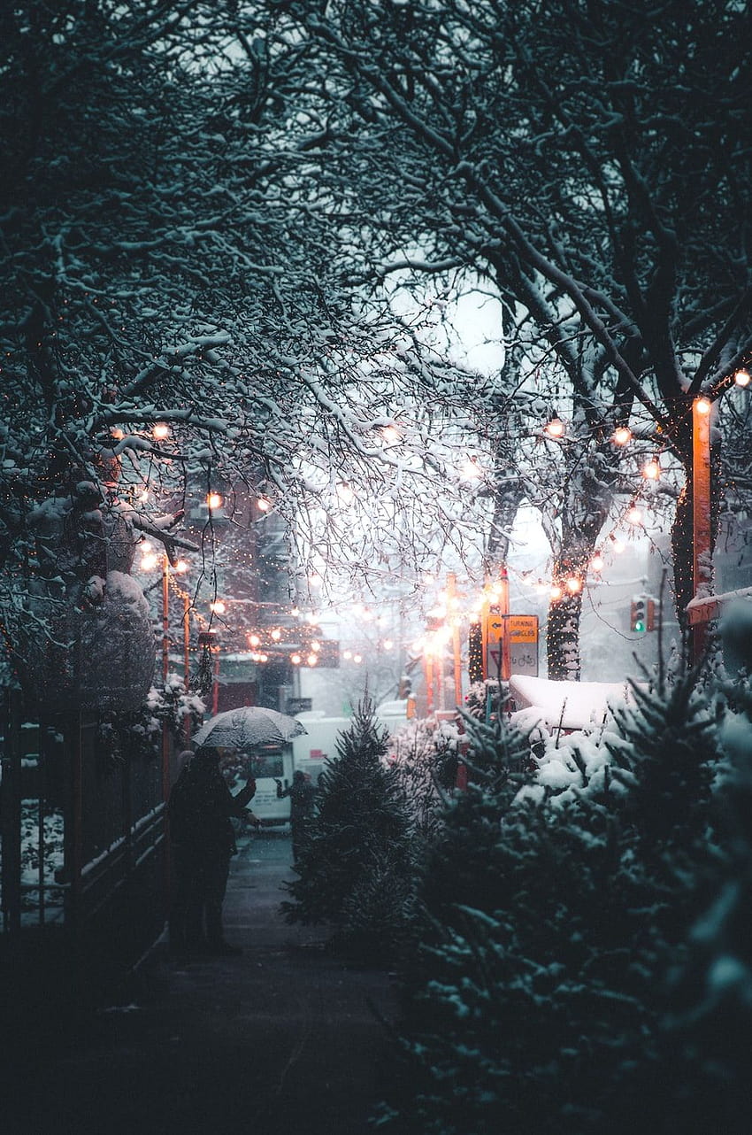 gündüzleri sokak lambasının ve ağaçların yanında şemsiye tutan kişi – Kış HD telefon duvar kağıdı