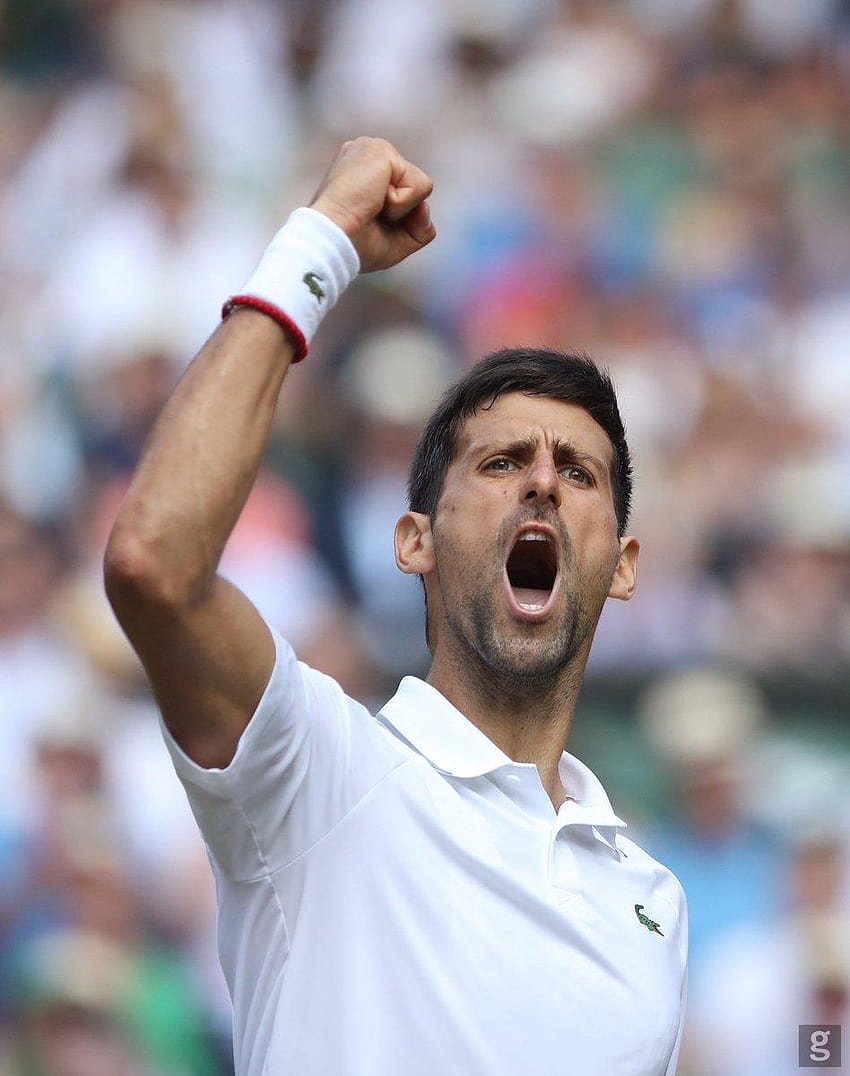 Novak Djokovic Wimbledon 2019 HD telefon duvar kağıdı
