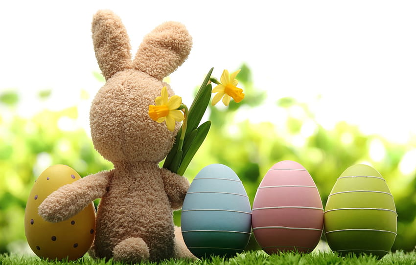 rumput, bunga, alam, liburan, mainan, kelinci, telur, musim semi, Paskah, daffodil, Paskah , bagian праздники, nature easter Wallpaper HD