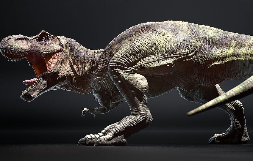 T Rex posted by Zoey Tremblay, v rex HD wallpaper