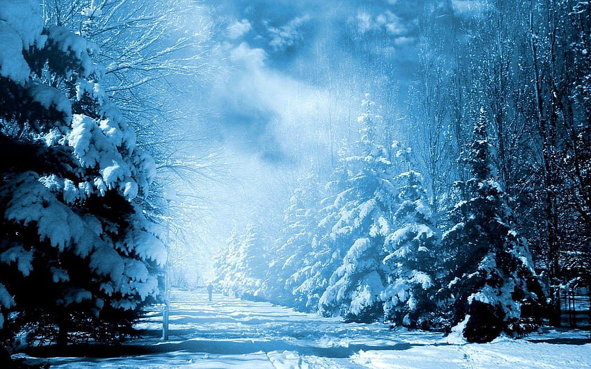 snow fantasy, winter fantasy HD wallpaper