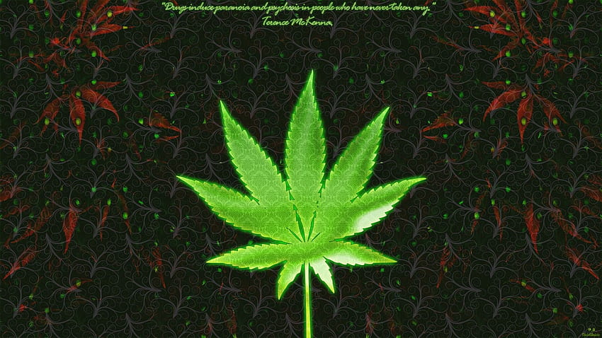 narkotyki, liście, cytaty, marihuana, sztuka cyfrowa, konopie, chwasty Tapeta HD