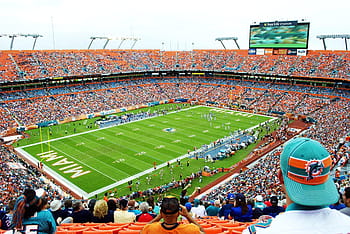 122,708 Miami Dolphins Stadium Stock Photos, High-Res Pictures