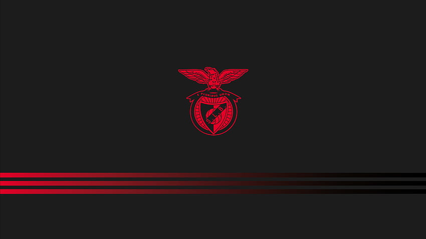 Best 5 SL Benfica auf Hüfte HD-Hintergrundbild