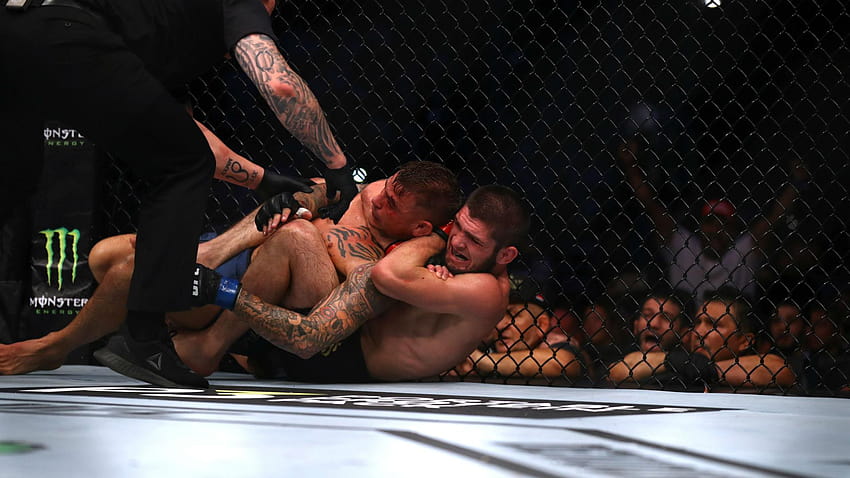 UFC 242 results: Khabib Nurmagomedov unifies lightweight, khabib nurmagomedov vs dustin poirier HD wallpaper