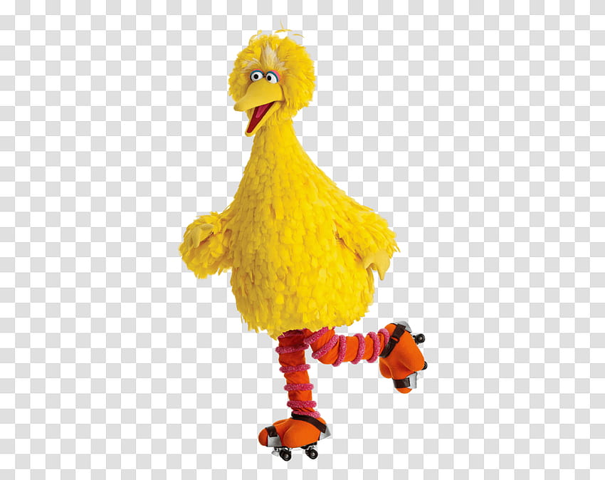 Big Bird Elmo Mega Limited Bird Monster Sesame Street Big Bird, Poulet, Volaille, Volaille, Animal Transparent Png - Pngset Fond d'écran HD