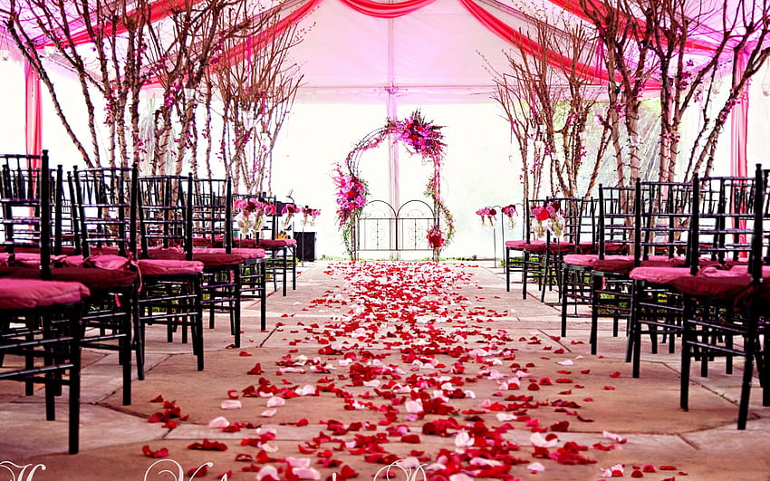 Marriage hall HD wallpapers | Pxfuel