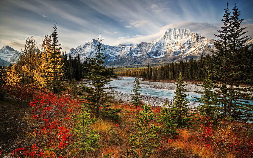อุทยานแห่งชาติ Jasper ฤดูใบไม้ร่วง ป่า ฤดูใบไม้ร่วง แคนาดา วอลล์เปเปอร์ HD