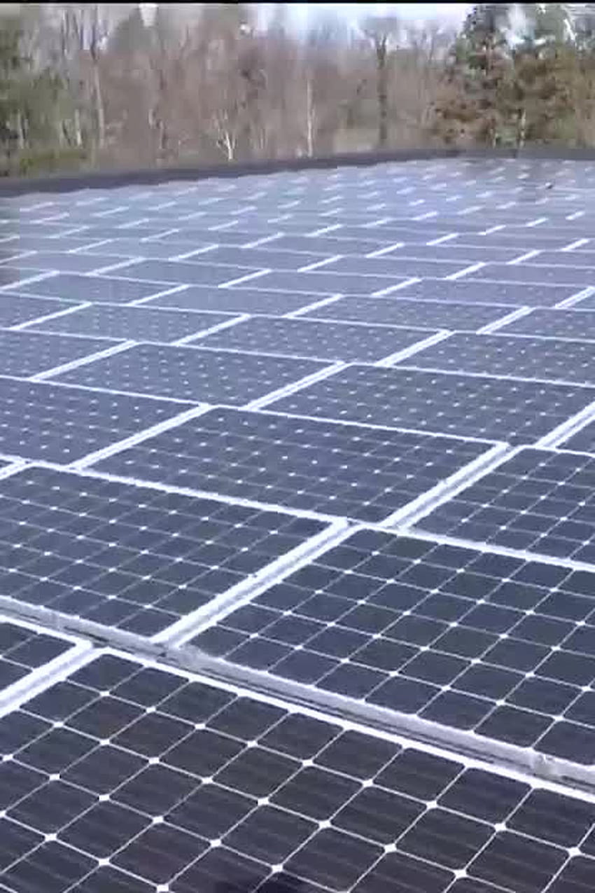 Apex Clean Energy habla en contra de la factura mensual de energía solar de Dominion Energy fondo de pantalla del teléfono
