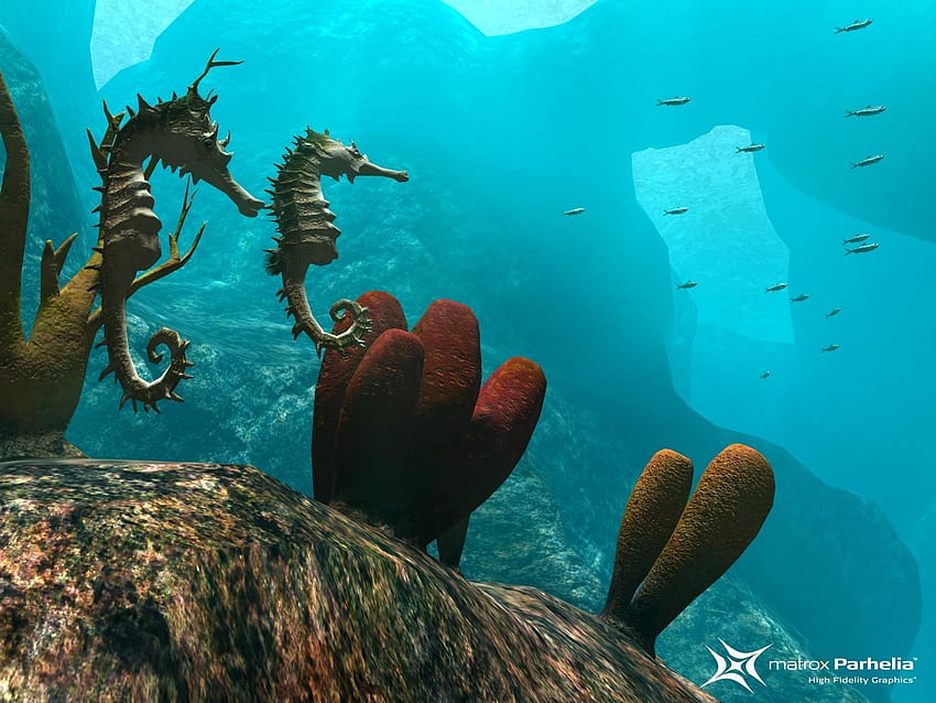 Seahorses Underwater world Animals HD wallpaper | Pxfuel