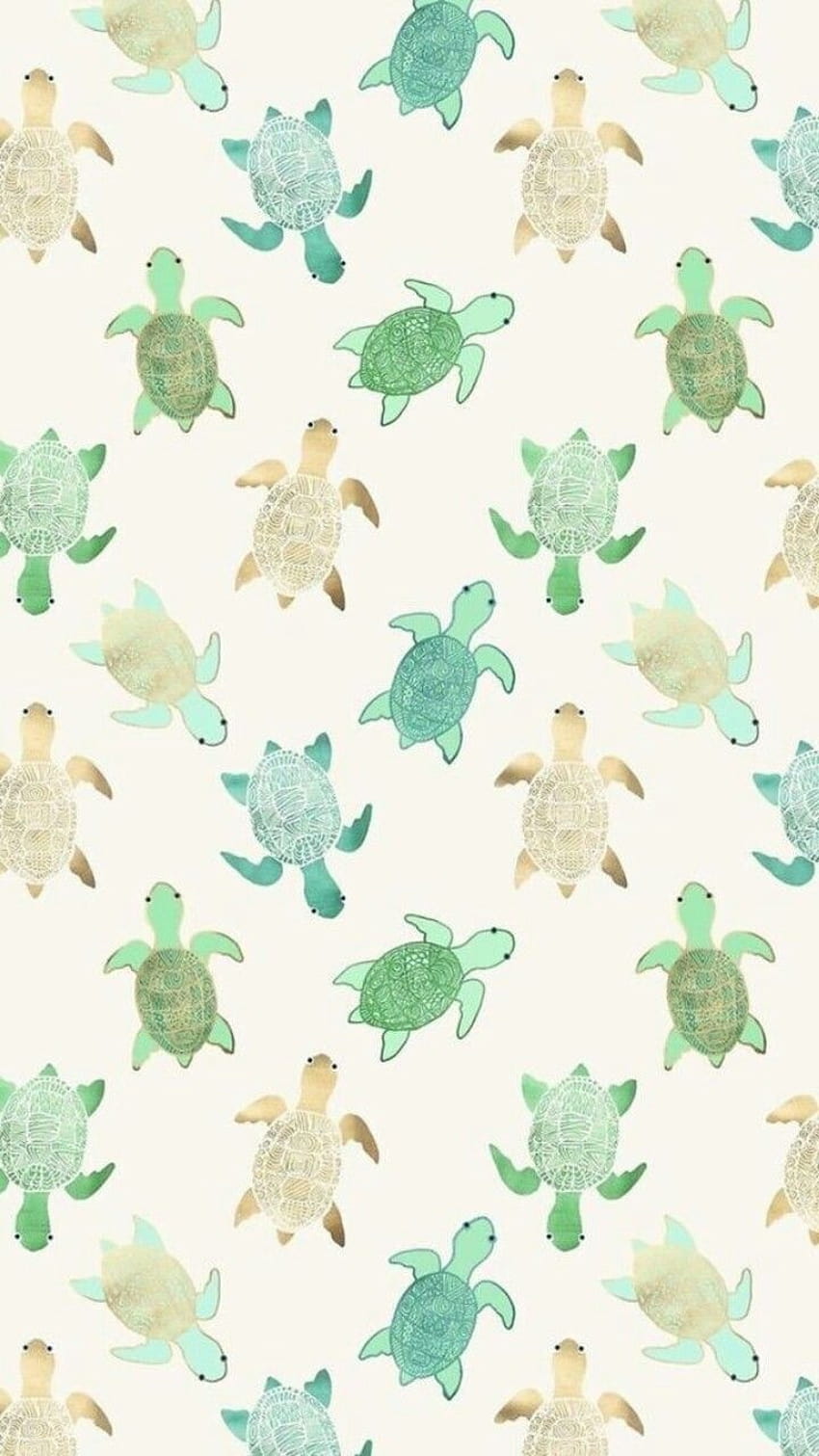 Turtle cute aesthetic HD phone wallpaper | Pxfuel