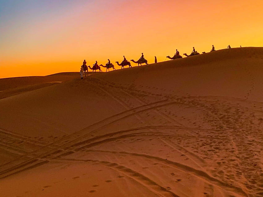 Sahara desert tour in Morocco, algerian desert canyons HD wallpaper ...