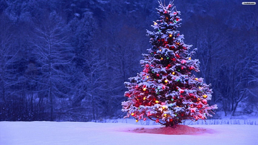 Res: 1920x1080, Computer Christmas , Backgrounds for PC & Mac, Laptop…, laptop merry christmas HD wallpaper