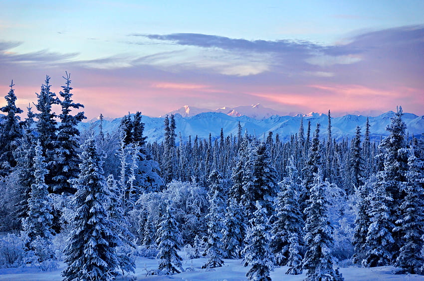 Good Morning from Alaska! by JLS graphy, alaska winter HD wallpaper ...