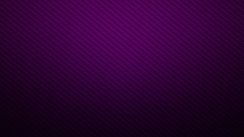 2560x1440 Simple Purple High Definition Purple Windows Hd Wallpaper Pxfuel