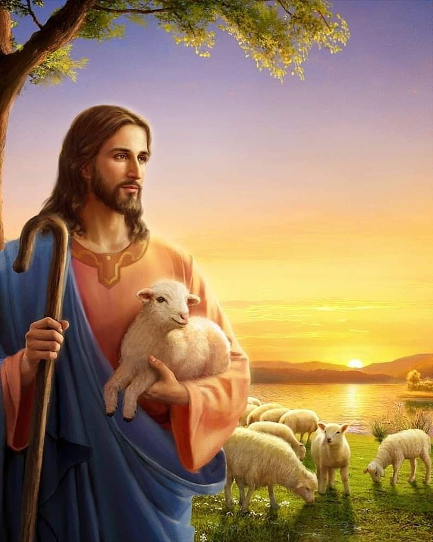 Il mio eroe Signor Gesù Cristo, gesù pastore Sfondo del telefono HD