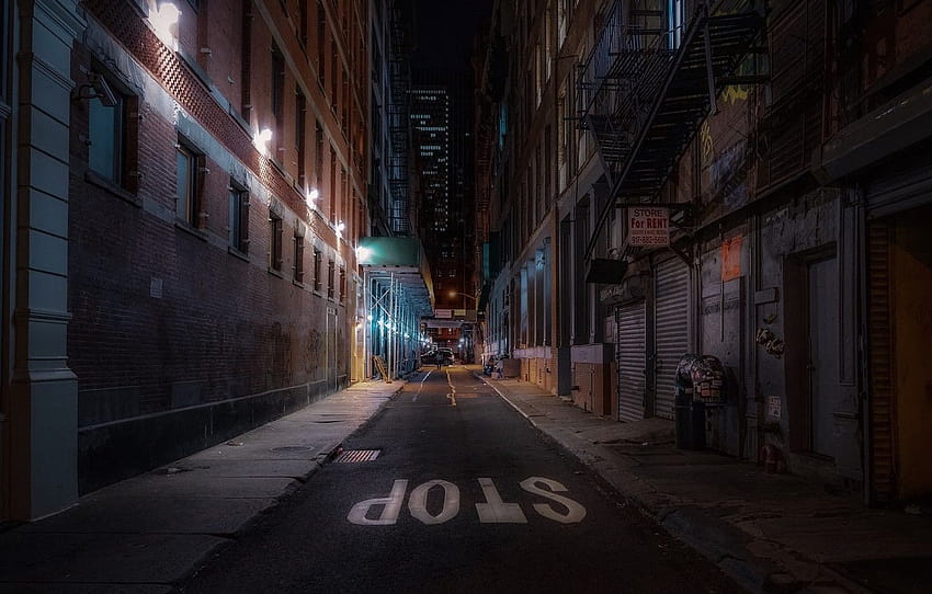 United States, night, New York, street, stop, urban scene , section город, new york streets HD wallpaper