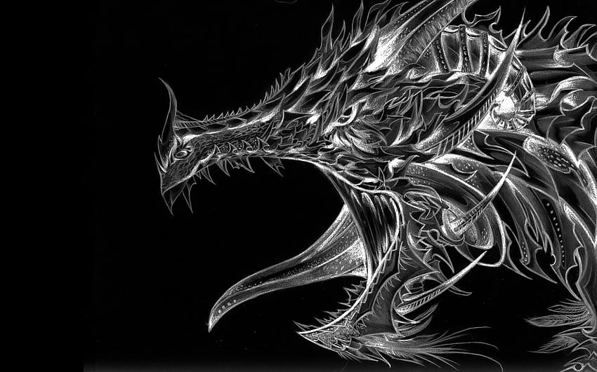 Dragon 26, dragon png HD wallpaper