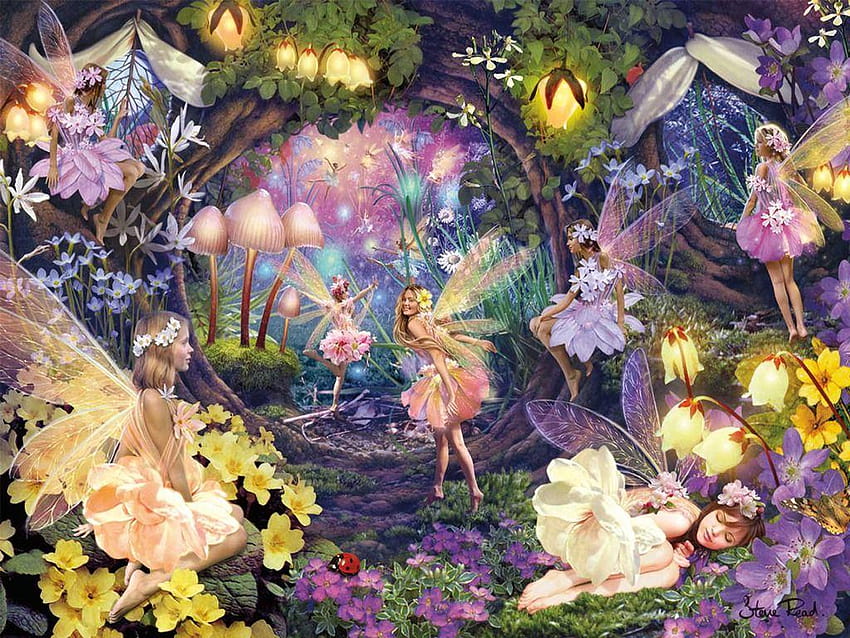fairy gardens, fairy in flower field HD wallpaper