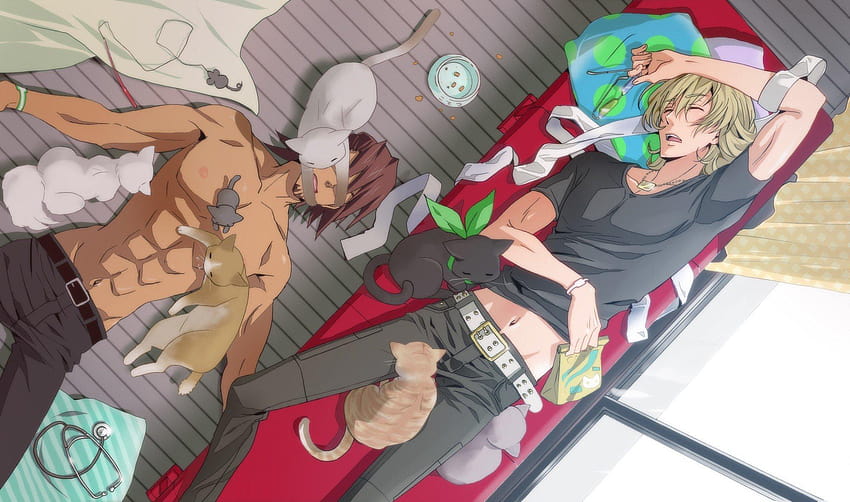 cats, Yaoi, Sleeping, Anime, Tiger, And, Bunny, Two, Boys, anime yaoi HD wallpaper