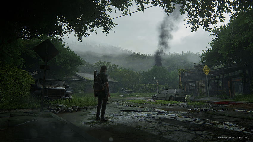 The Last Of Us Part II Ellie 4K Wallpaper • GamePhD