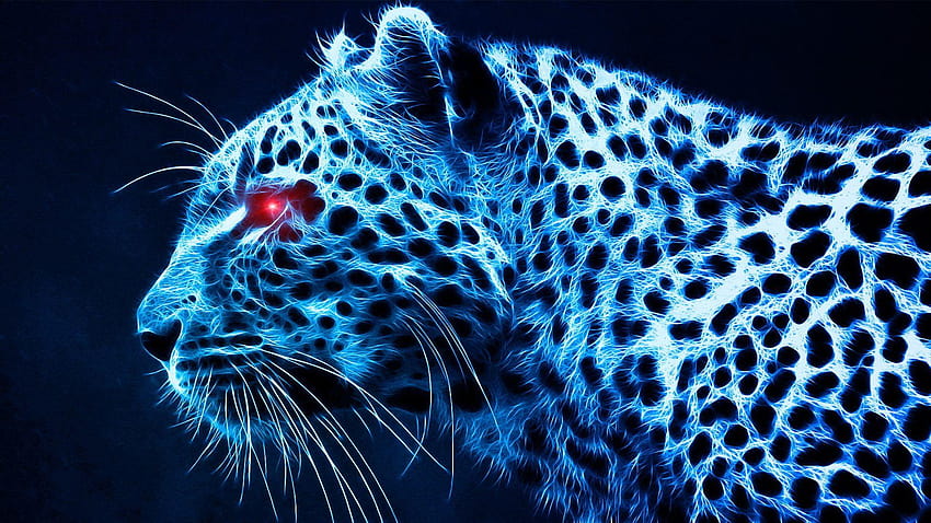 Baby Black Leopard , PC Baby Black Leopard Most, black leopard background HD wallpaper