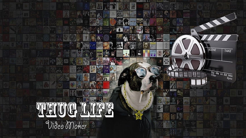 Get Thug Life Video Editor, video editing HD wallpaper