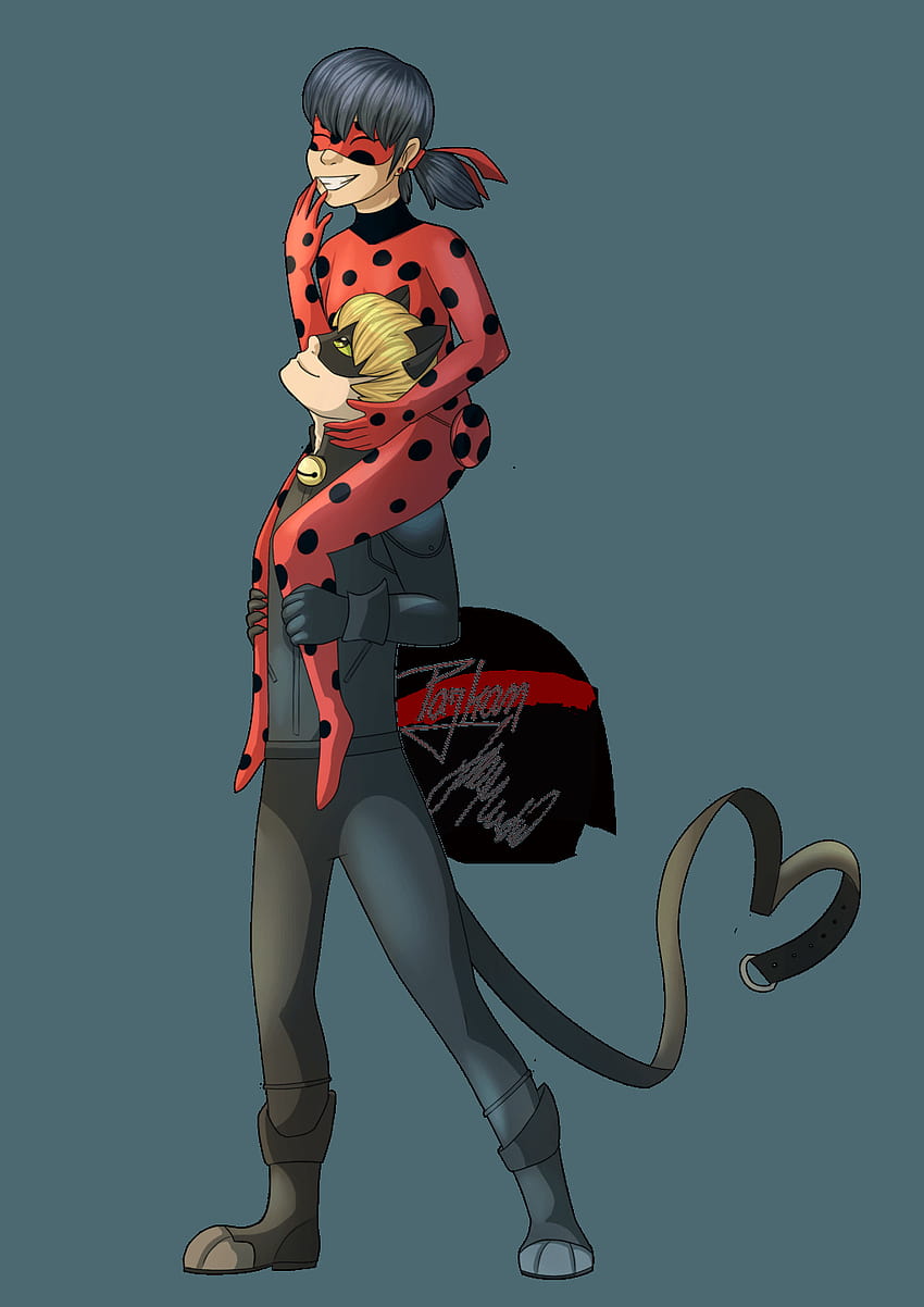 Ladybug and Chat Noir, miraculous tales of ladybug cat noir HD phone wallpaper