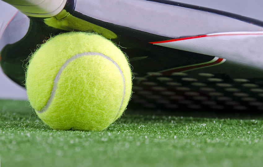 Tennis, padel HD wallpaper