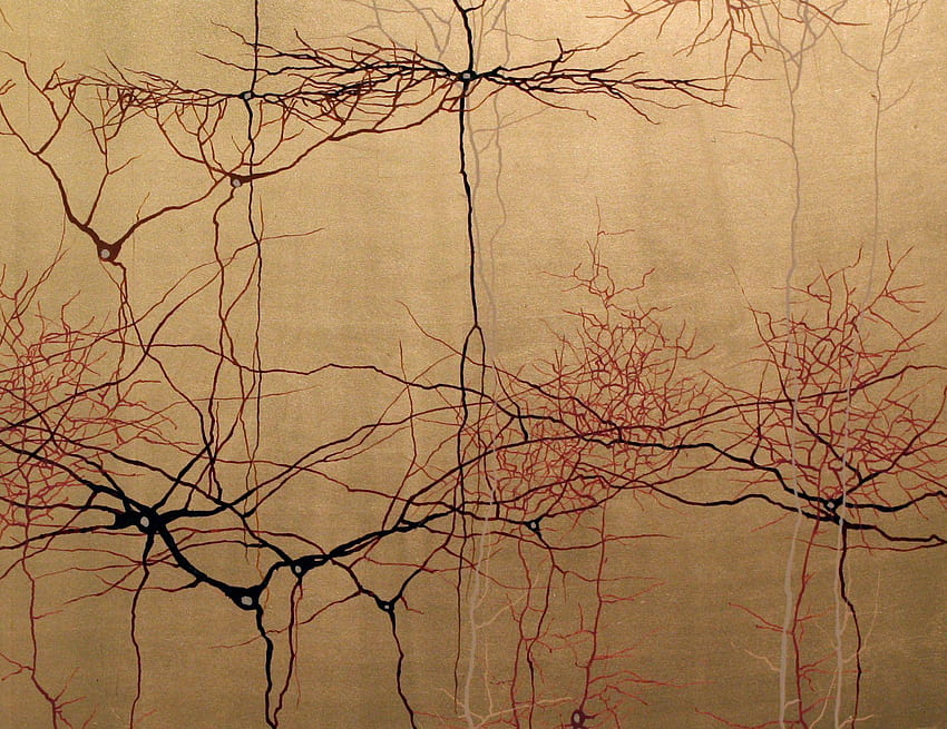 Galeria: Neuronauka spotyka się ze sztuką wizualną Tapeta HD